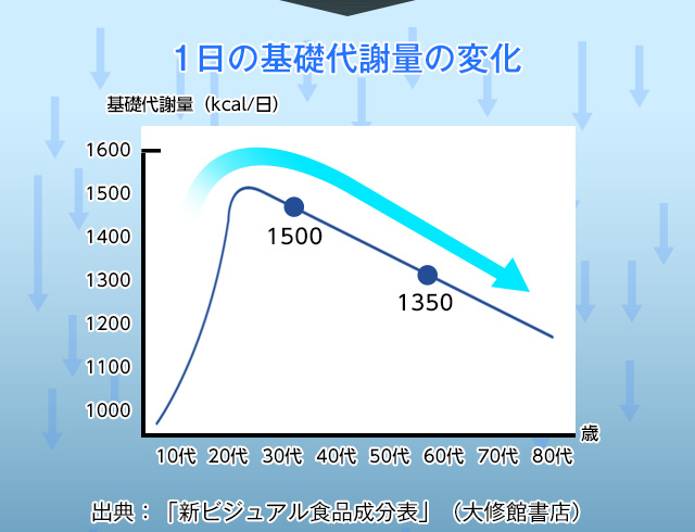 1日の基礎代謝量の変化