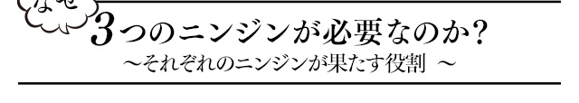 なぜ３つのニンジンが必要なのか？