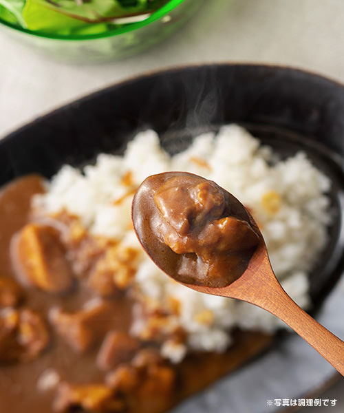 信州十四豚 カレー