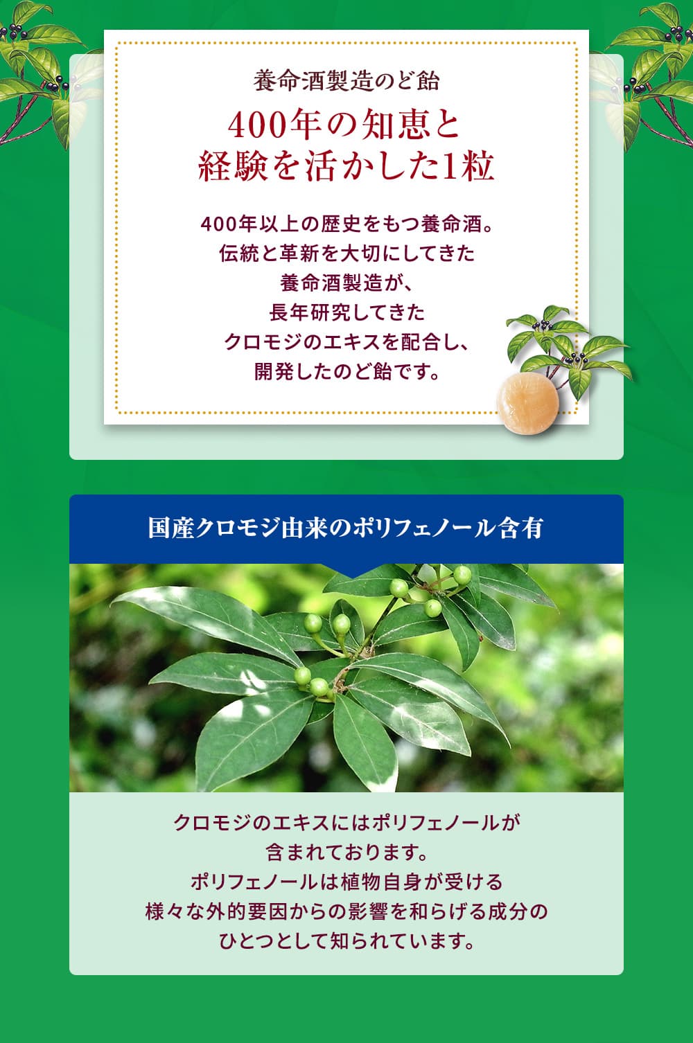 じんわり腰が楽になる、着心地が快適な磁気腹巻です。腰をいたわる新習慣としてぜひご使用ください。