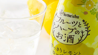 激レア 未開封 薬用養命酒 平型小瓶270ml 【1957年〜1968年製】 激レア 未開封 薬用養命酒 平型小瓶270ml 【1957年〜1968年製】