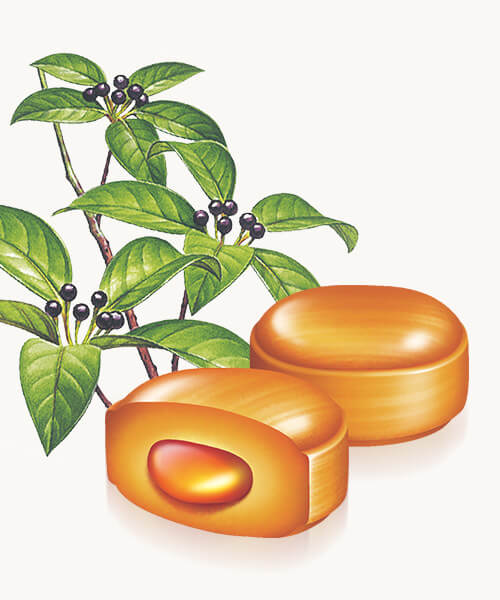 養命酒製造のど飴