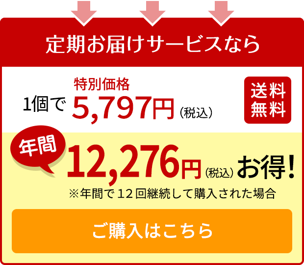 ご購入はこちら