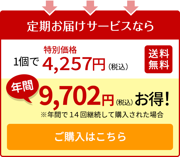 ご購入はこちら