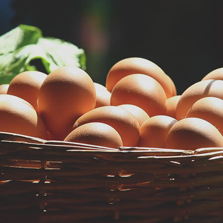 五三焼カステラ