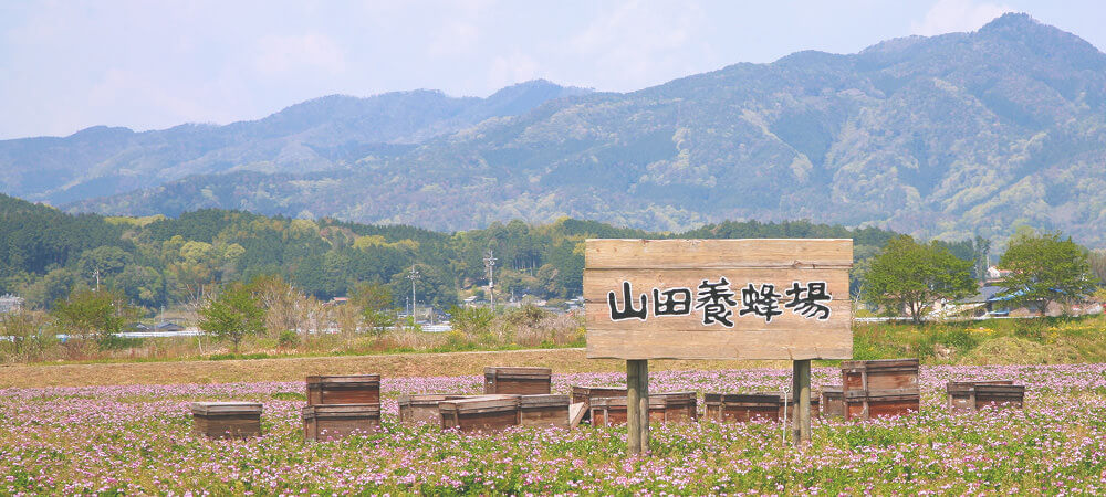 山田養蜂場
