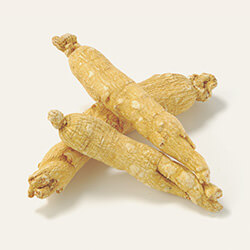 ニンジン（高麗人参）