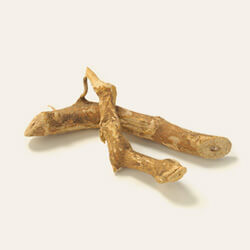 エゾウコギ（シベリア人参）