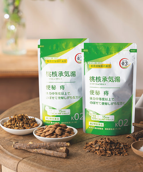 養命酒製造 桃核承気湯エキス錠［第2類医薬品］